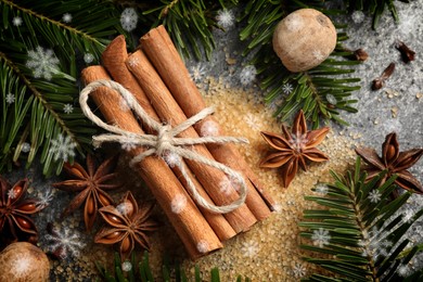 Different spices and fir tree branches on grey background, flat lay. Cinnamon, anise, nutmegs, cloves, brown sugar