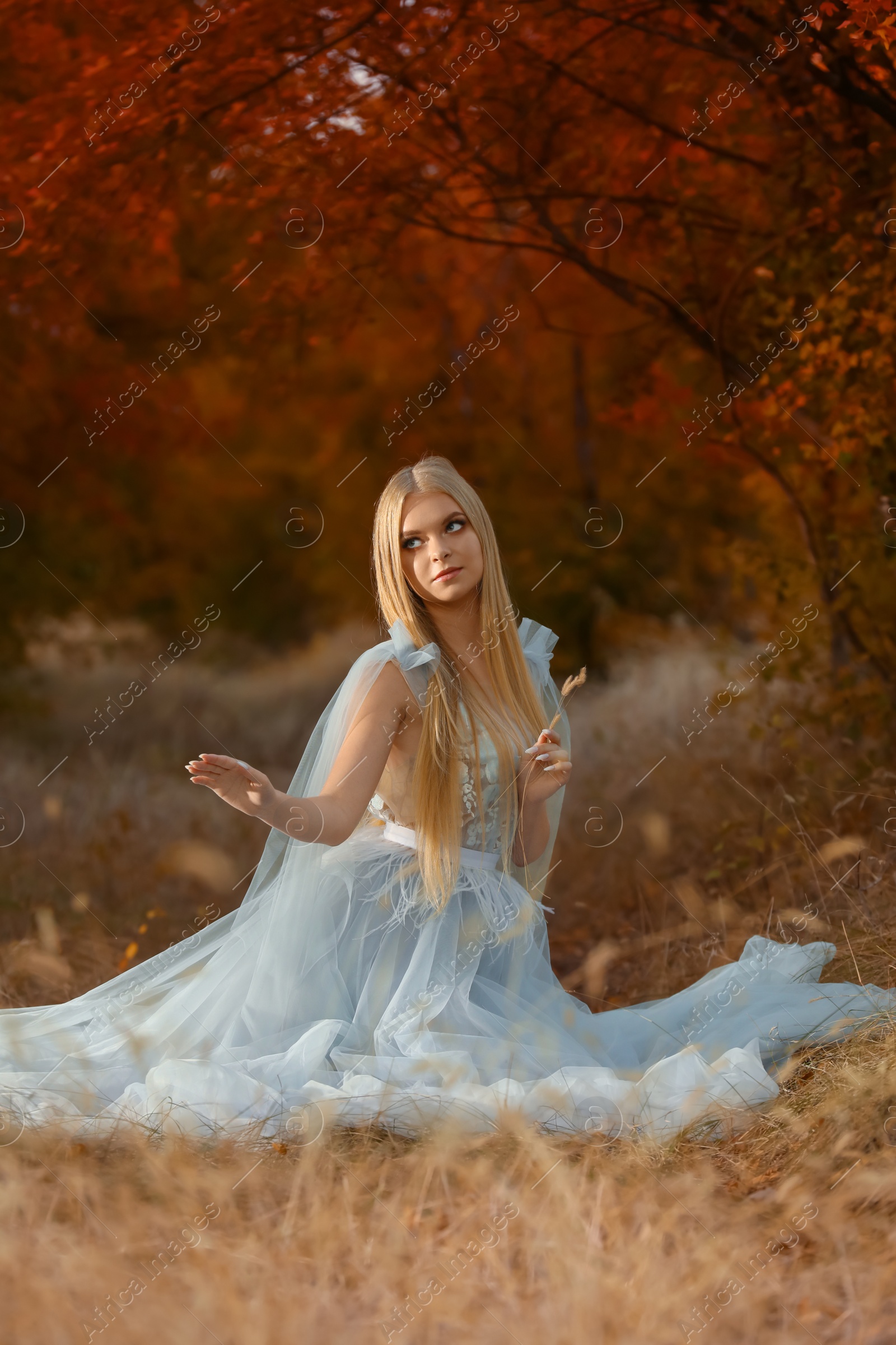 Photo of Beautiful girl wearing fairy dress in autumn forest