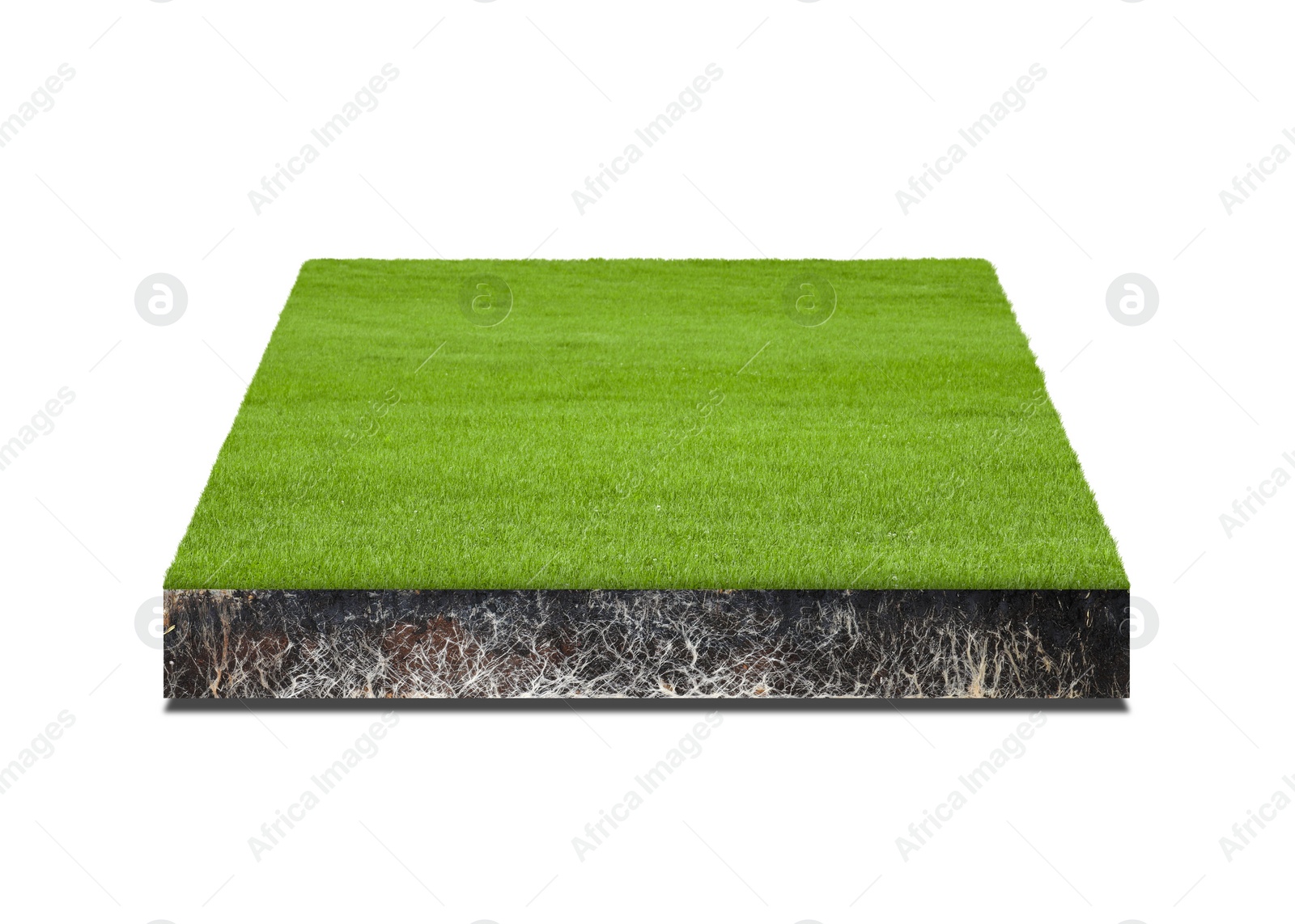 Image of Green grass with soil. Land piece in shape of square isolated on white