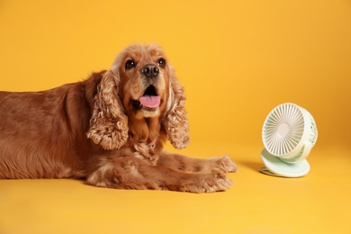 Photo of English Cocker Spaniel enjoying air flow from fan on yellow background. Summer heat