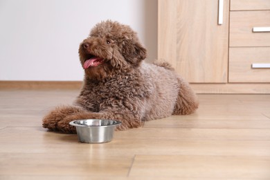 Photo of Cute Toy Poodle dog near feeding bowl indoors