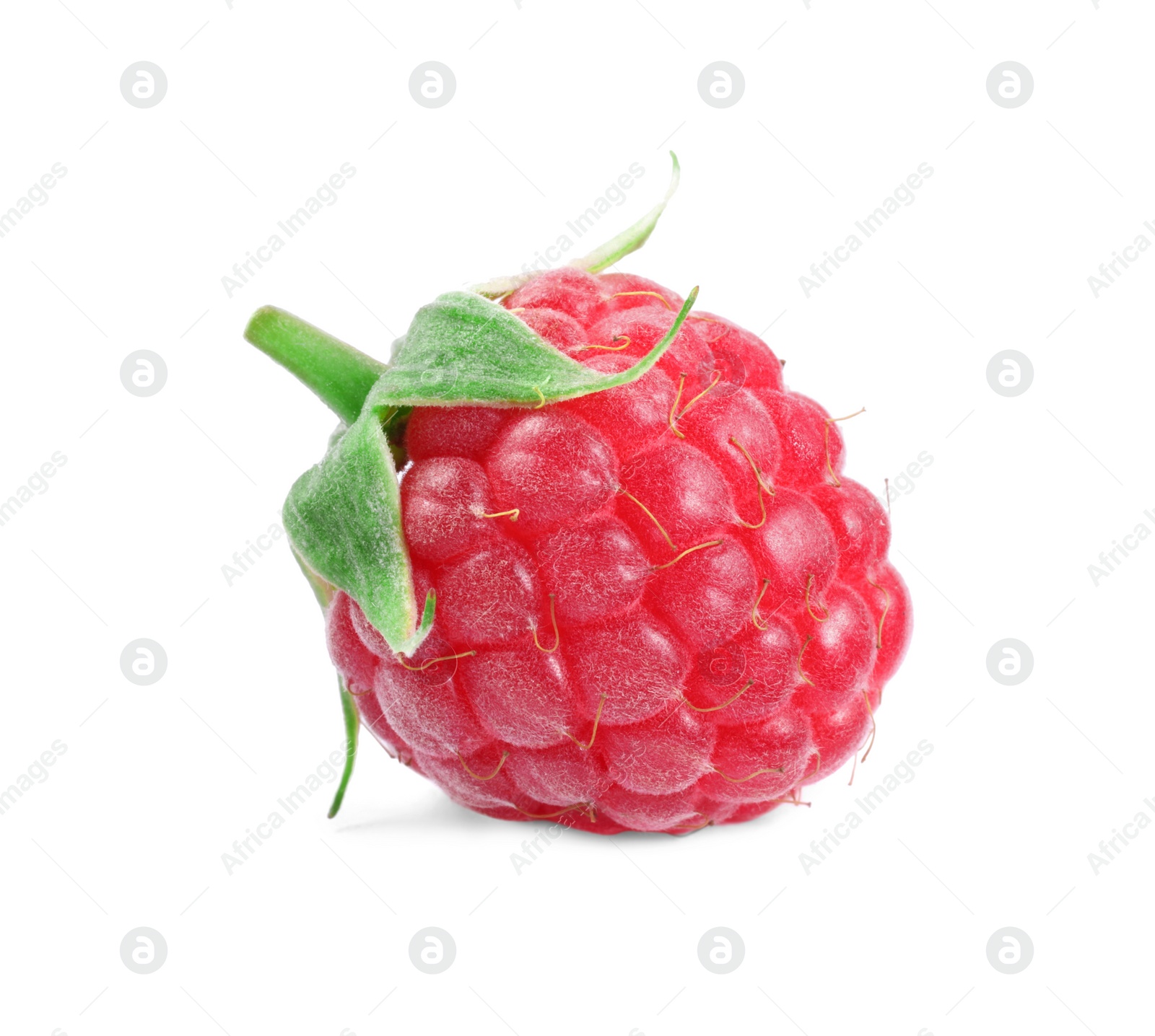 Photo of One tasty ripe raspberry isolated on white