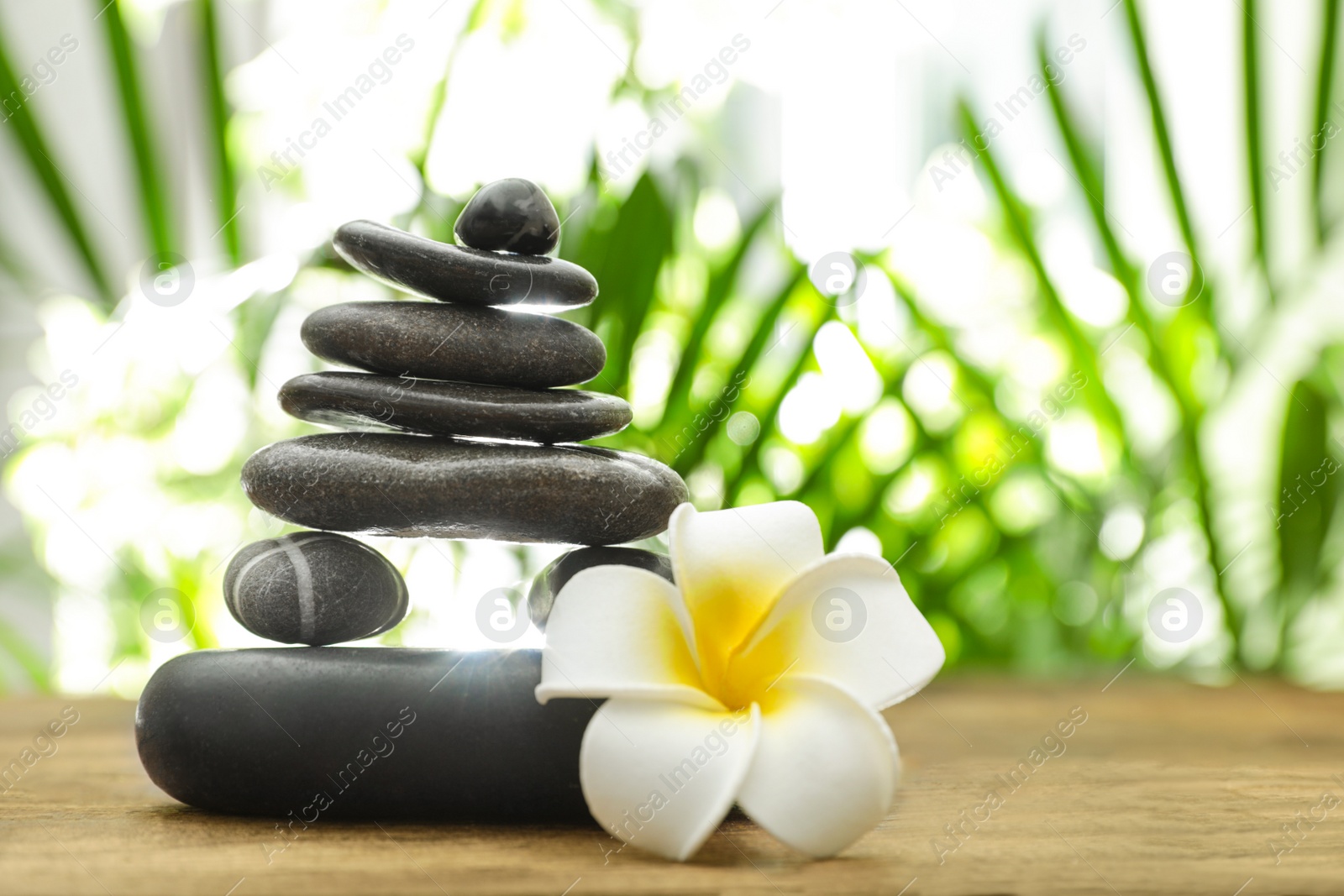 Photo of Table with stack of stones, flower and blurred green leaves on background, space for text. Zen concept