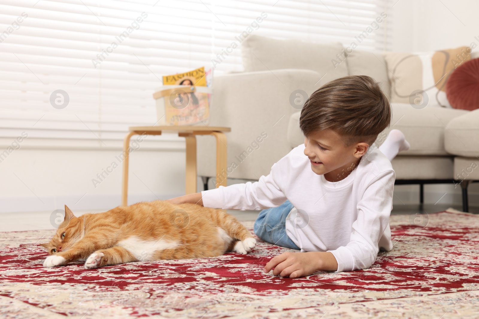 Photo of Little boy petting cute ginger cat on carpet at home