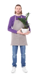 Male florist holding houseplant on white background