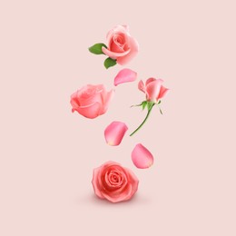 Image of Beautiful tender roses flying on pink background