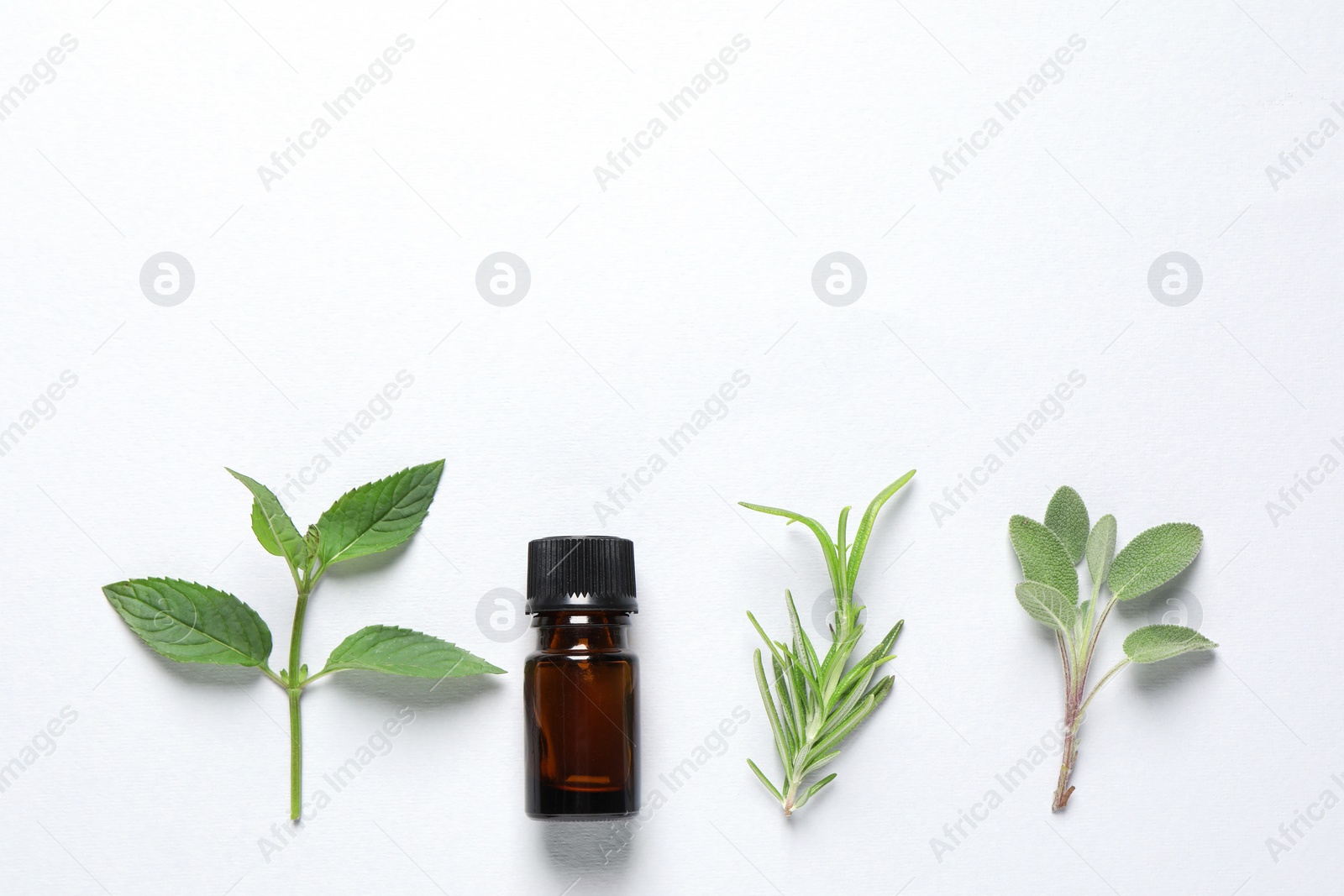 Photo of Bottle of essential oil, sage, rosemary and mint on white background, flat lay. Space for text