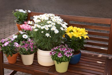 Many different beautiful blooming plants in flowerpots on wooden bench outdoors