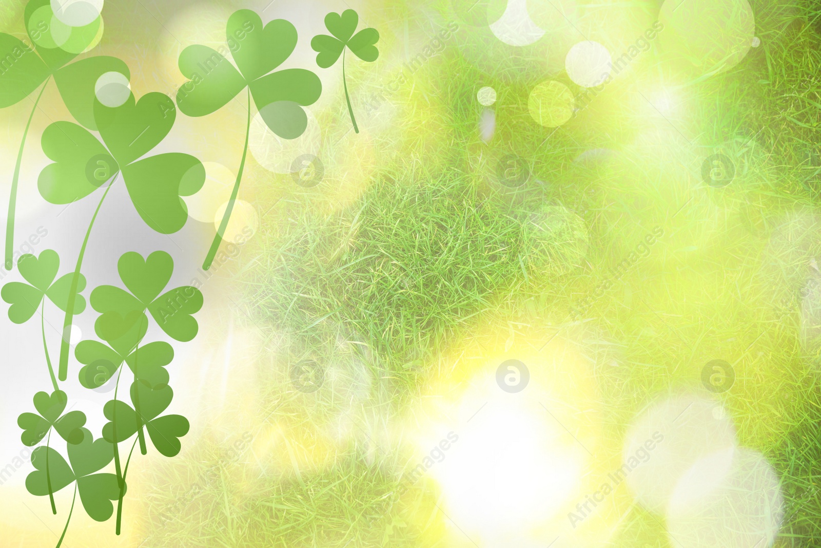 Image of Beautiful design with clover leaves, bokeh effect. St Patrick's day