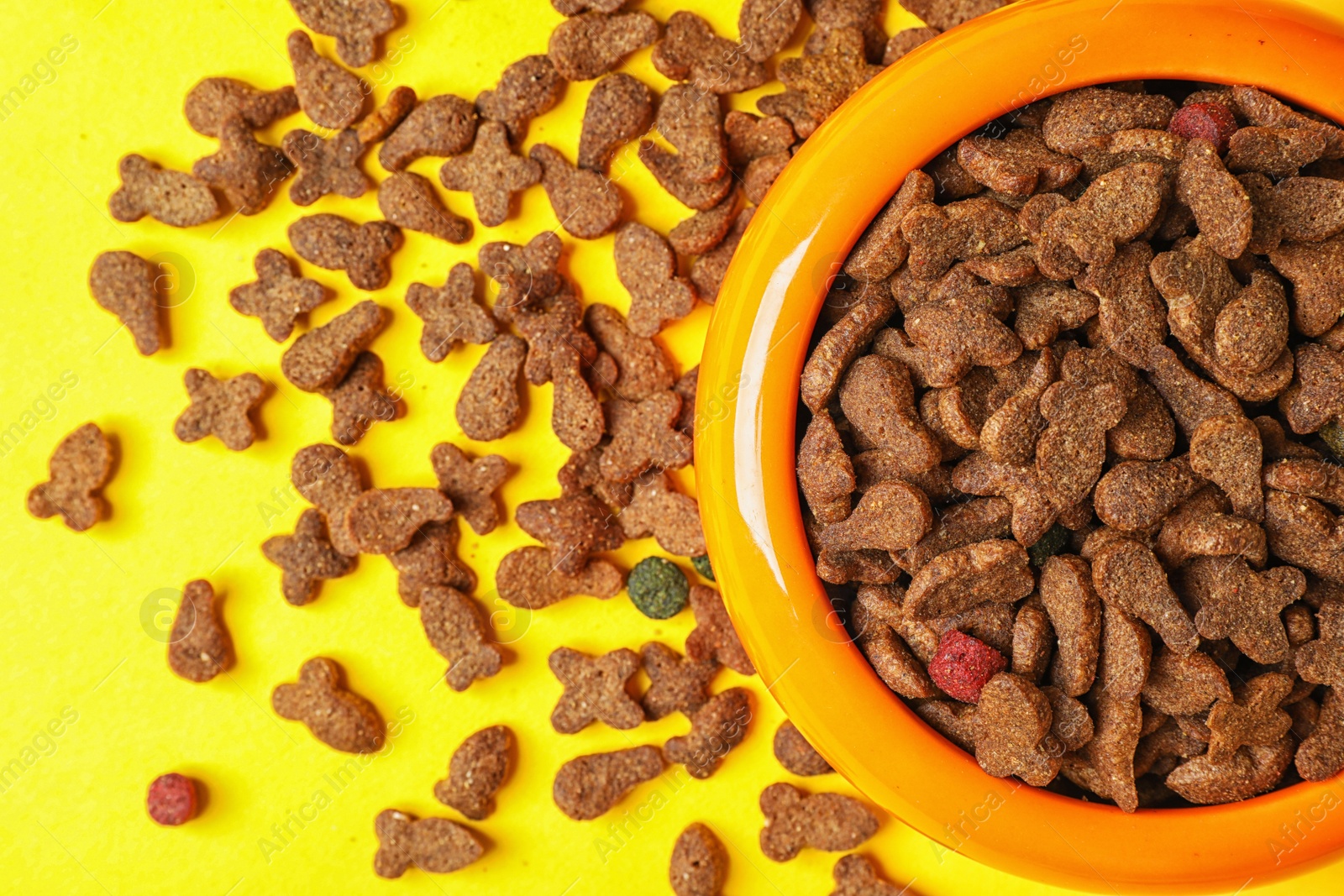 Photo of Bowl with food for cat or dog on color background. Pet care