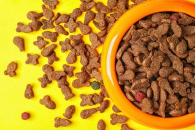 Bowl with food for cat or dog on color background. Pet care