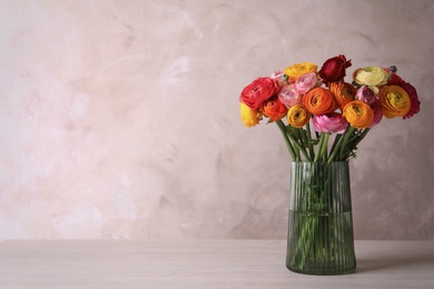 Photo of Beautiful fresh ranunculus flowers in vase on white table, space for text