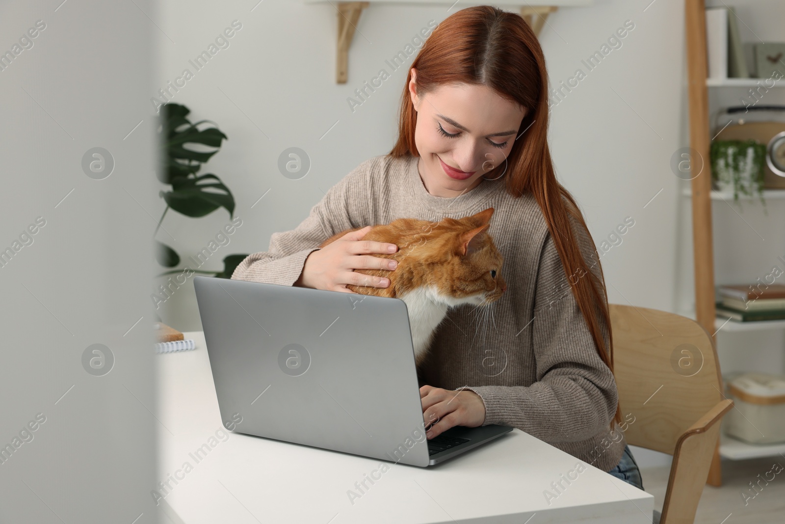 Photo of Woman with cat working at desk. Home office