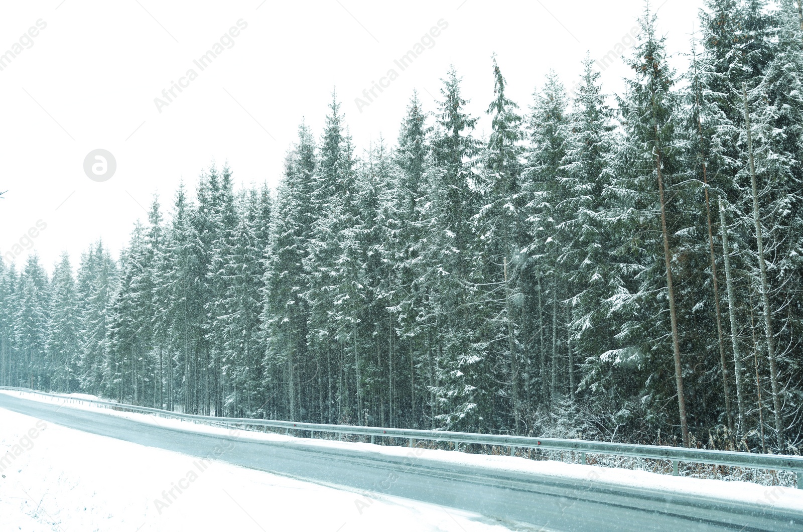 Photo of Beautiful landscape with conifer forest and road on snowy winter day
