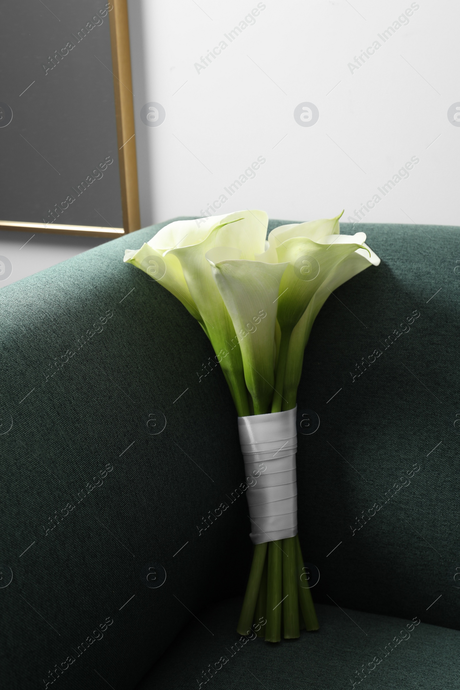 Photo of Beautiful calla lily flowers tied with ribbon on sofa indoors