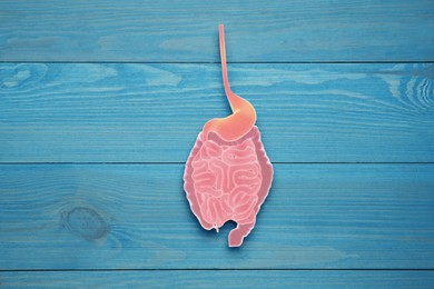 Paper cutout of small intestine on turquoise wooden background, top view