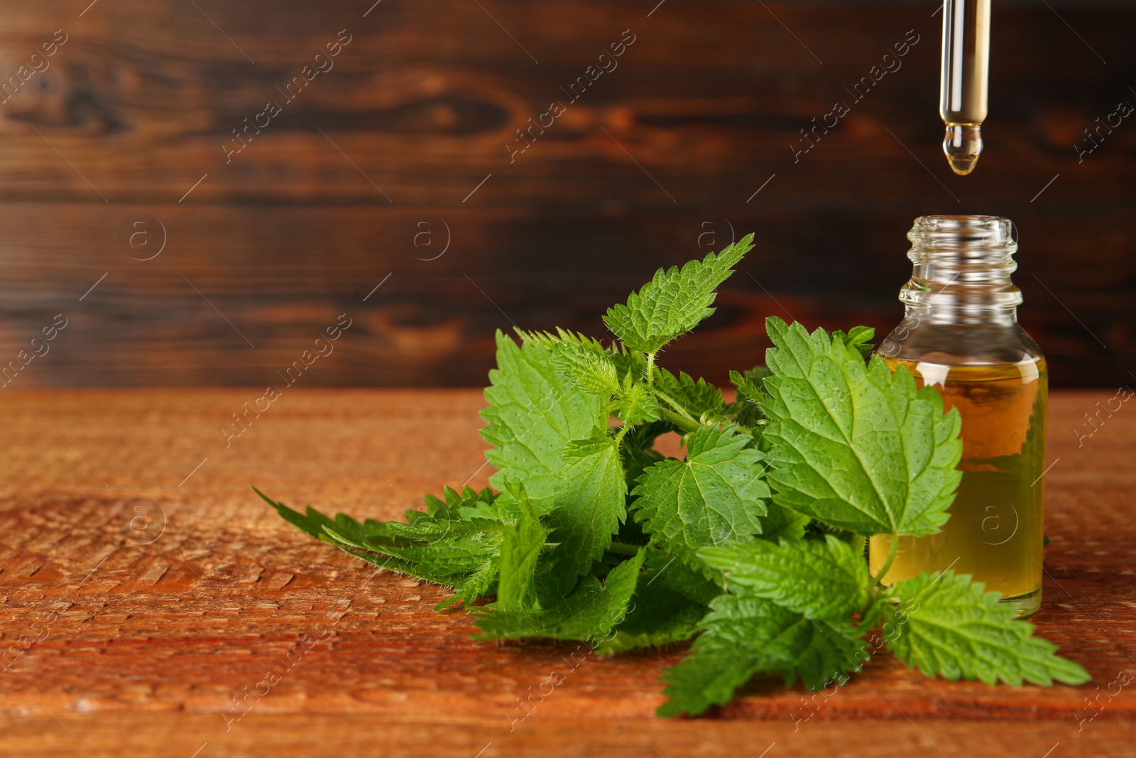 Photo of Dripping nettle oil from pipette into glass bottle and leaves on wooden table. Space for text