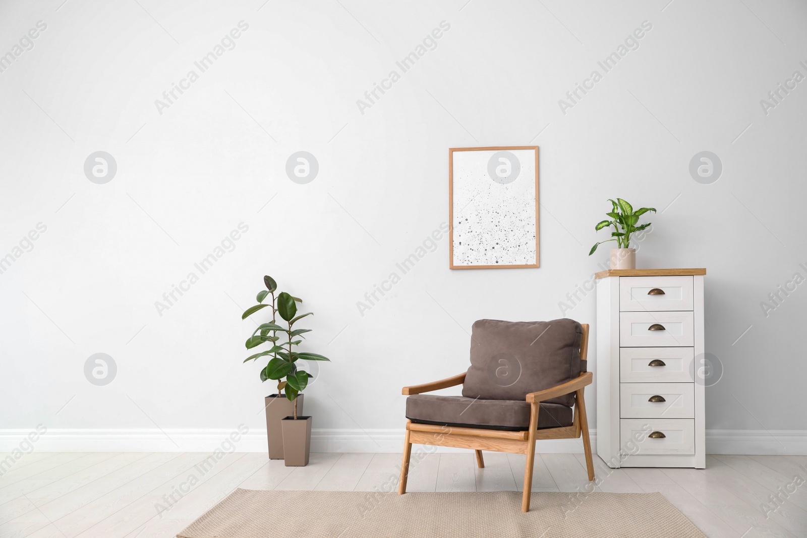 Photo of Beautiful home plants in stylish room interior