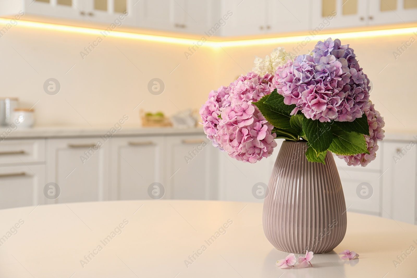 Photo of Bouquet of beautiful hydrangea flowers on table in kitchen, space for text. Interior design