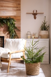 Photo of Beautiful room decorated for Christmas with potted firs. Interior design