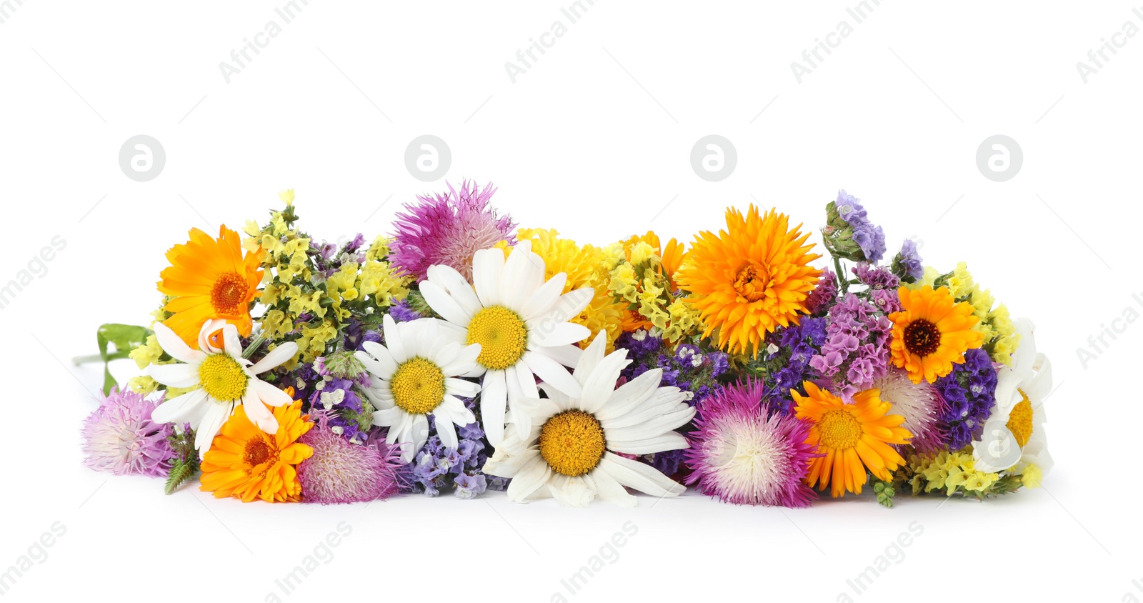 Photo of Bunch of beautiful wild flowers on white background