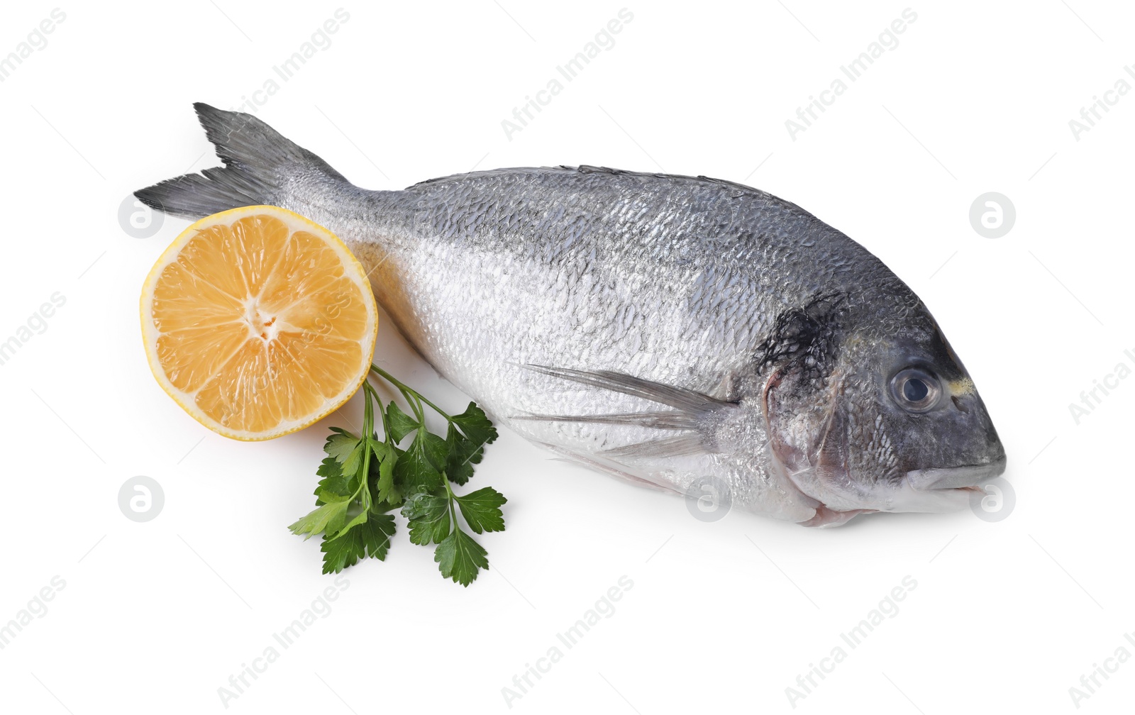 Photo of Raw dorado fish, lemon and parsley isolated on white