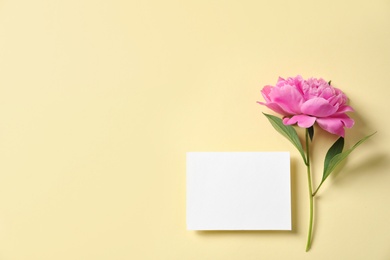 Fresh peony and empty card on color background, flat lay with space for text