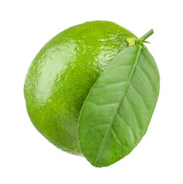 Fresh green ripe lime with leaf isolated on white