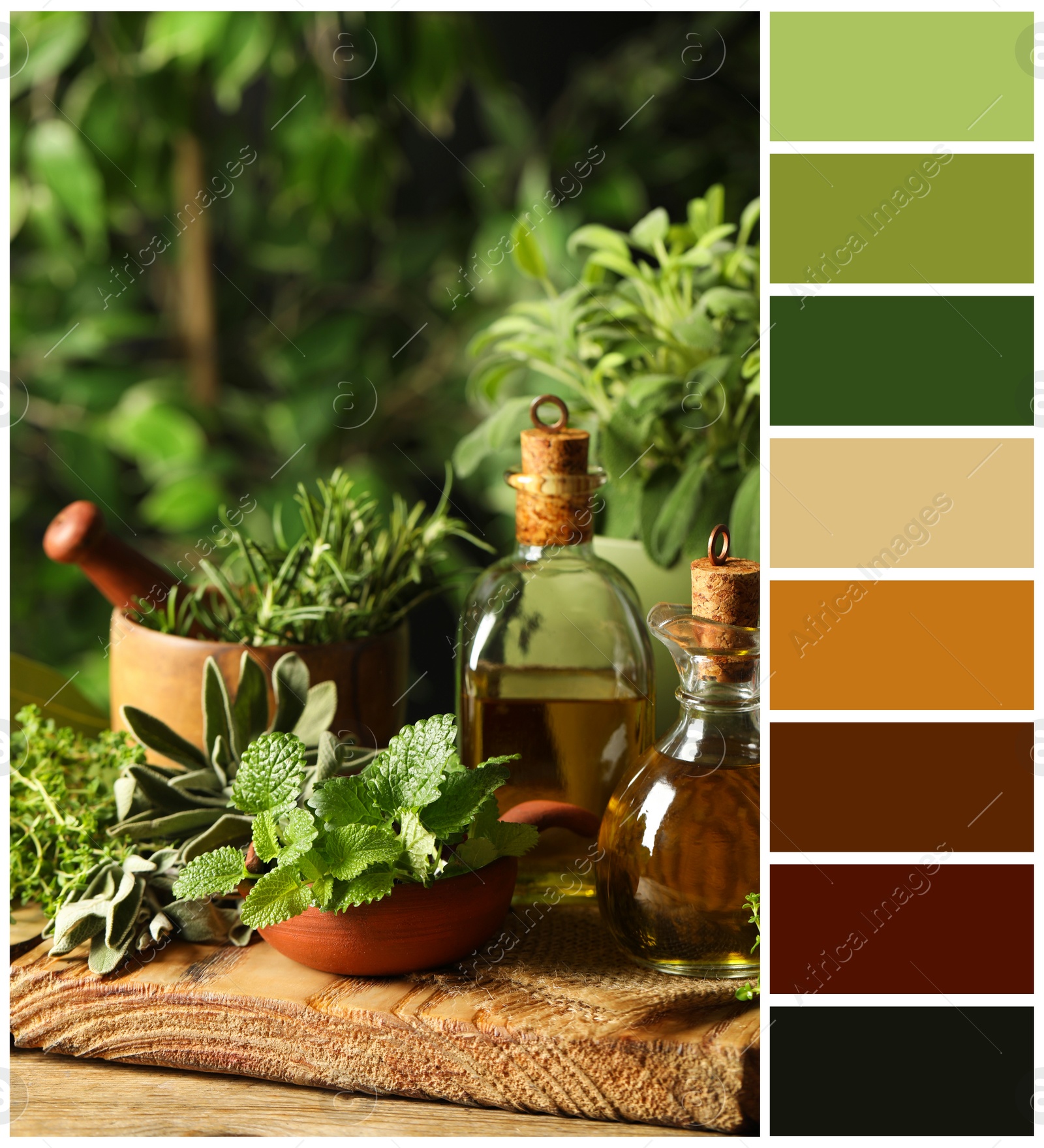 Image of Different fresh herbs with oils on wooden table and color palette. Collage