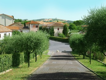 Beautiful street with buildings, cars, bushes and trees on sunny day