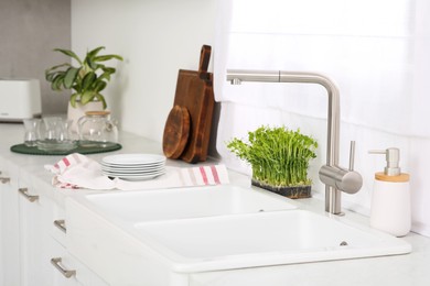 Stylish white sinks, utensils and microgreens in kitchen