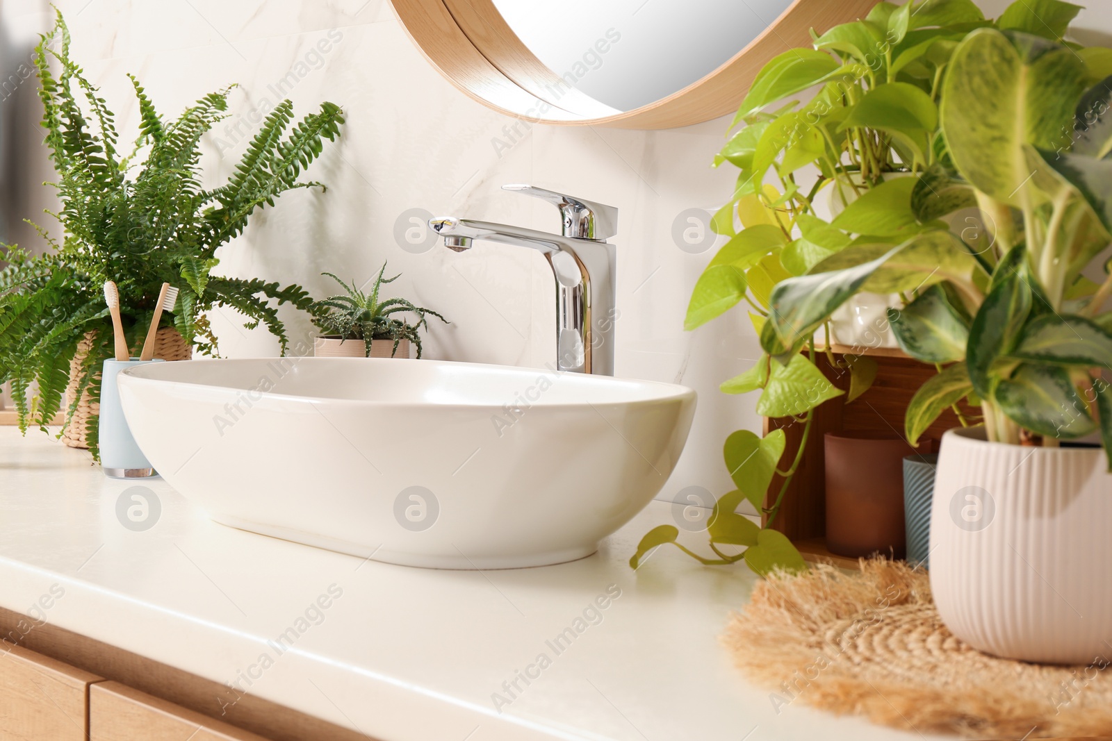 Photo of Bathroom counter with sink, beautiful green houseplants and toothbrushes near white marble wall