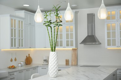 Photo of Vase with green bamboo stems on marble table in kitchen. Interior design