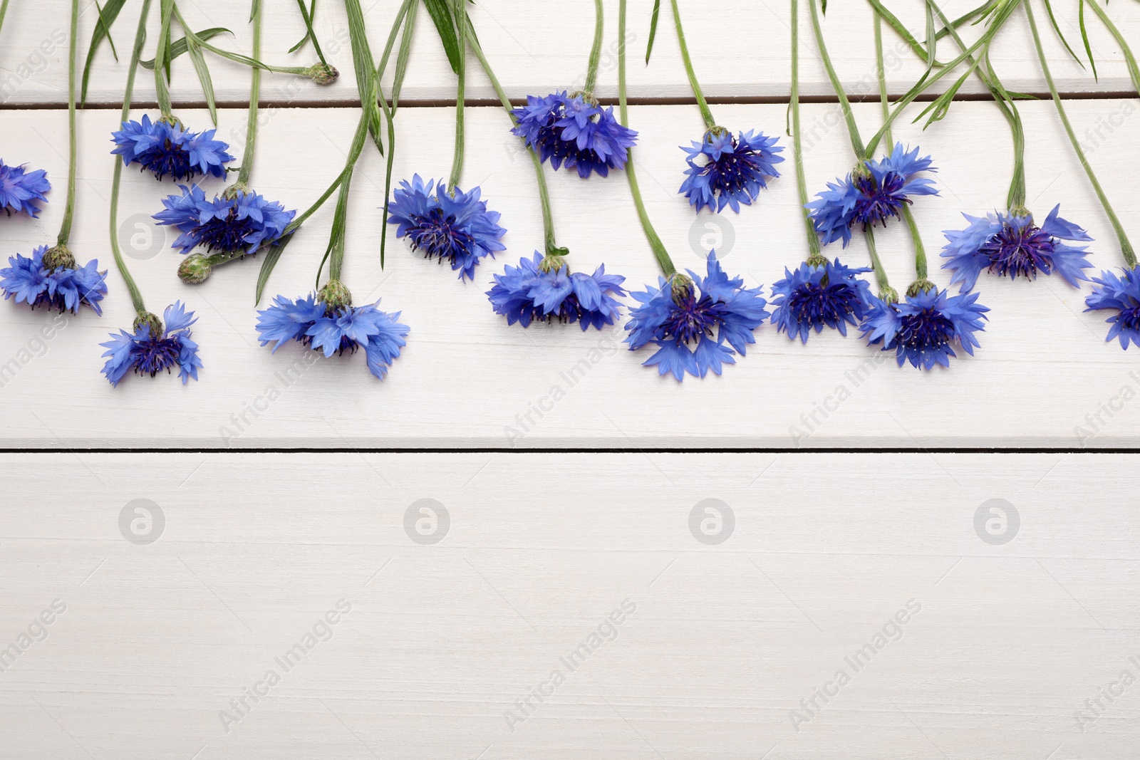 Photo of Beautiful blue cornflowers on white wooden background, flat lay. Space for text