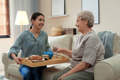 Photo of Young woman serving dinner for elderly woman in living room. Senior people care