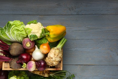 Photo of Different fresh vegetables in crate on wooden table, top view with space for text. Farmer harvesting