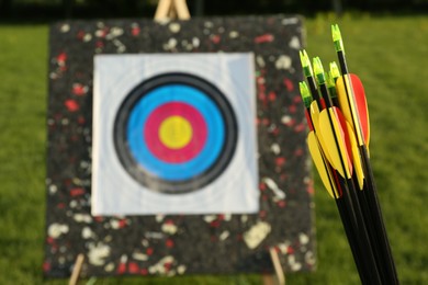 Photo of Many arrows against near target outdoors, closeup. Space for text