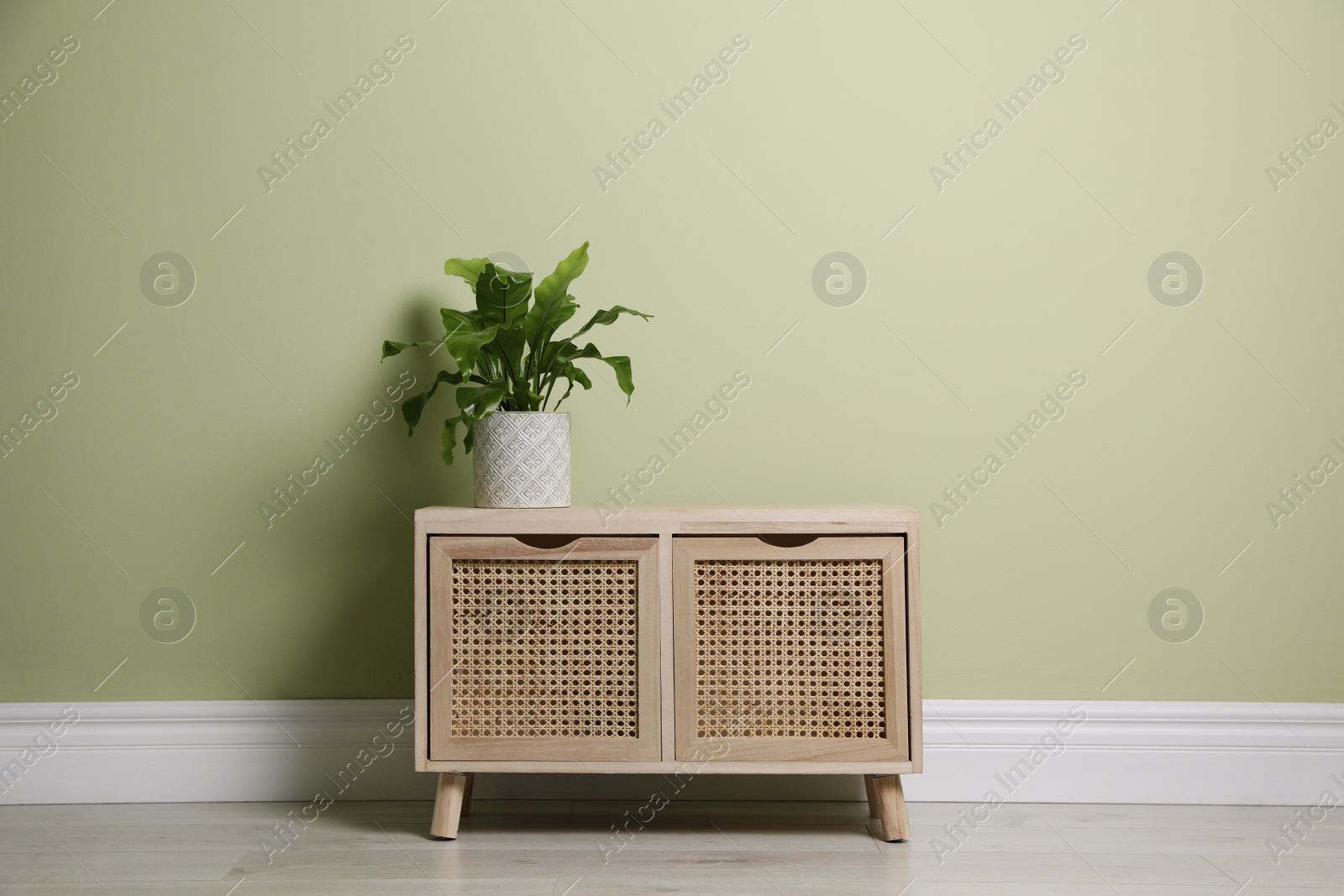 Photo of Beautiful houseplant on wooden chest of drawers near light green wall indoors