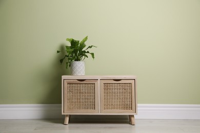 Beautiful houseplant on wooden chest of drawers near light green wall indoors