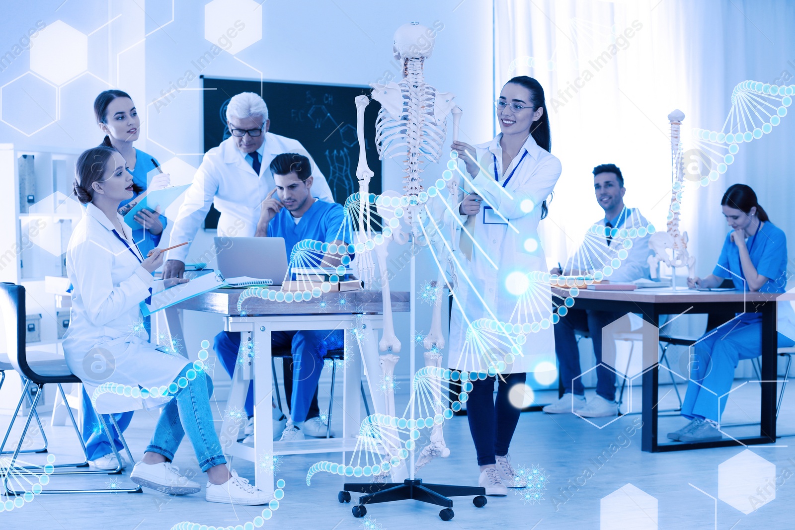 Image of Medical students and professor studying human skeleton anatomy in classroom