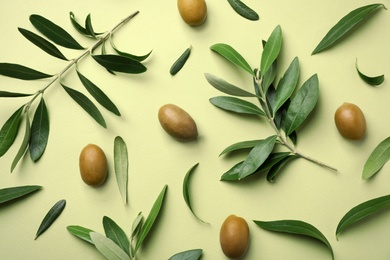 Photo of Flat lay composition with fresh green olive leaves, twigs and fruit on color background