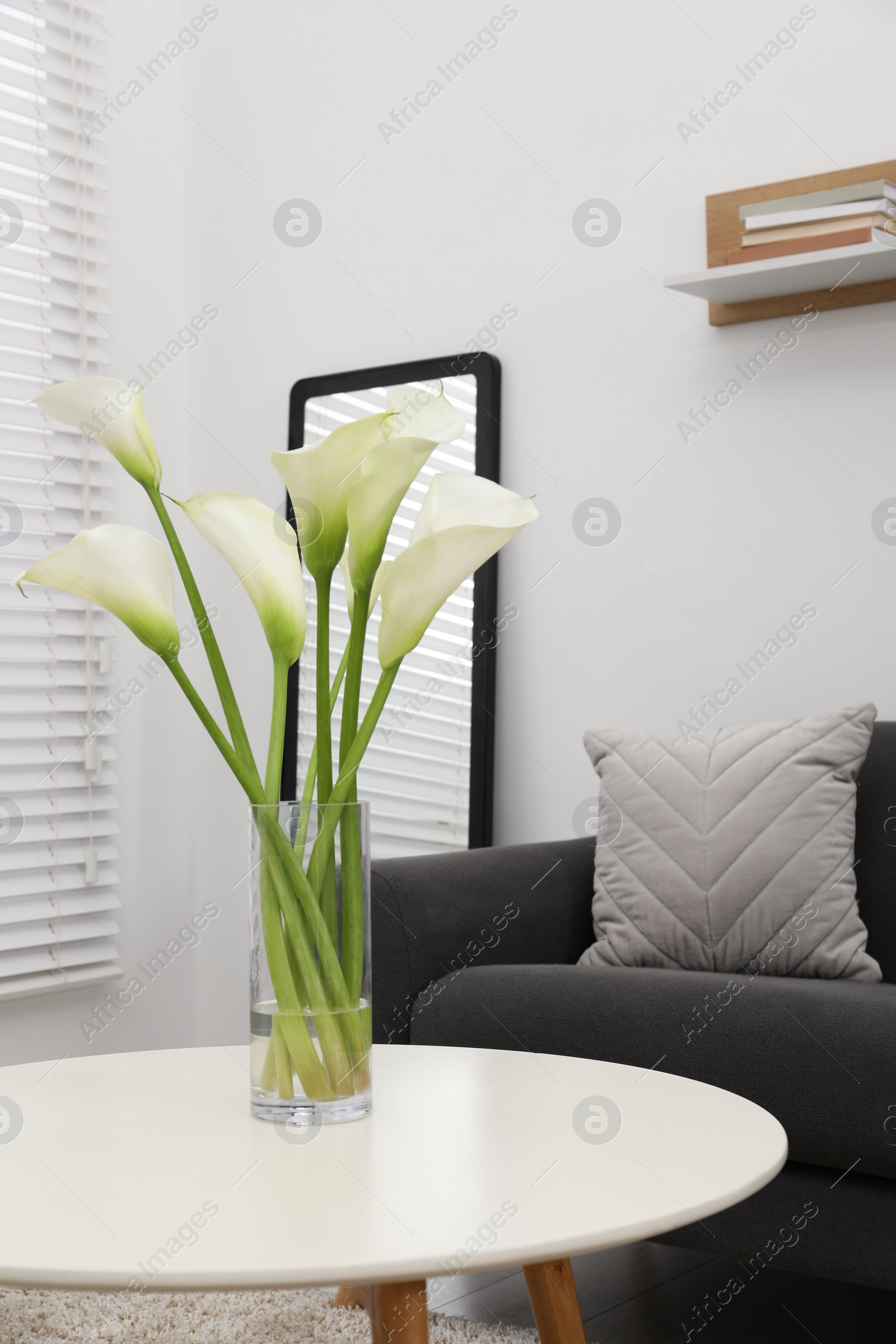 Photo of Beautiful calla lily flowers in glass vase on white table at home