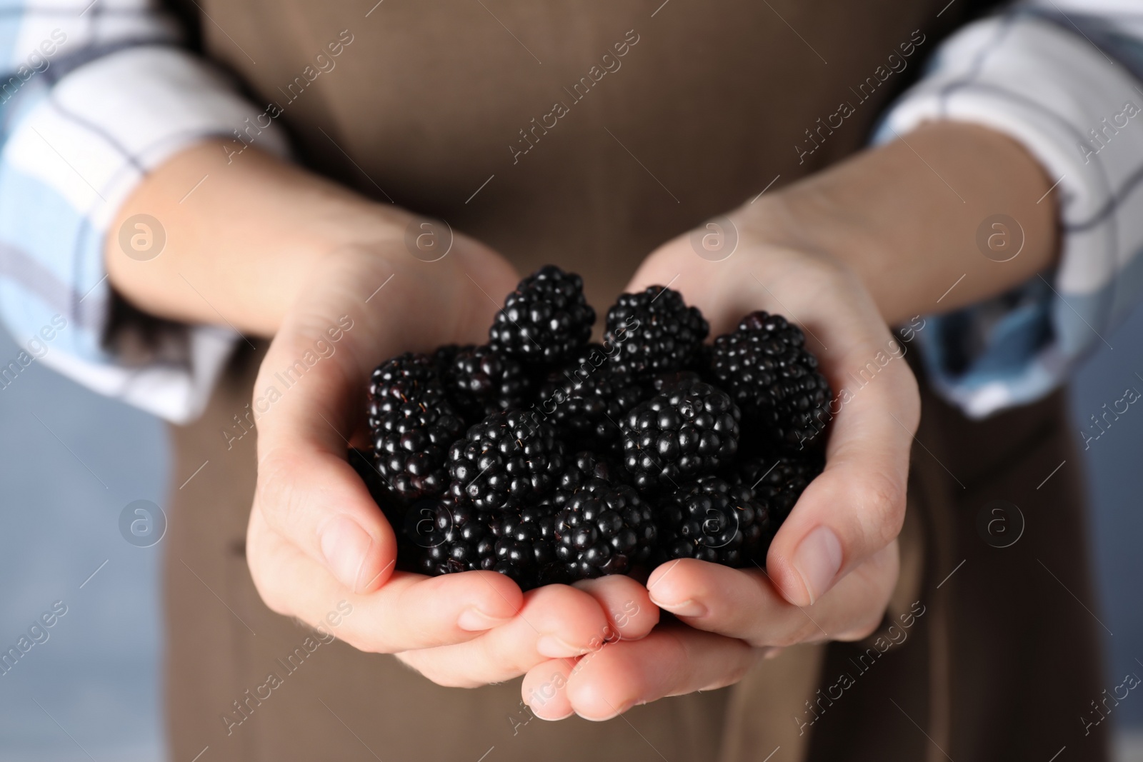 Photo of Woman holding many fresh ripe blackberries, closeup