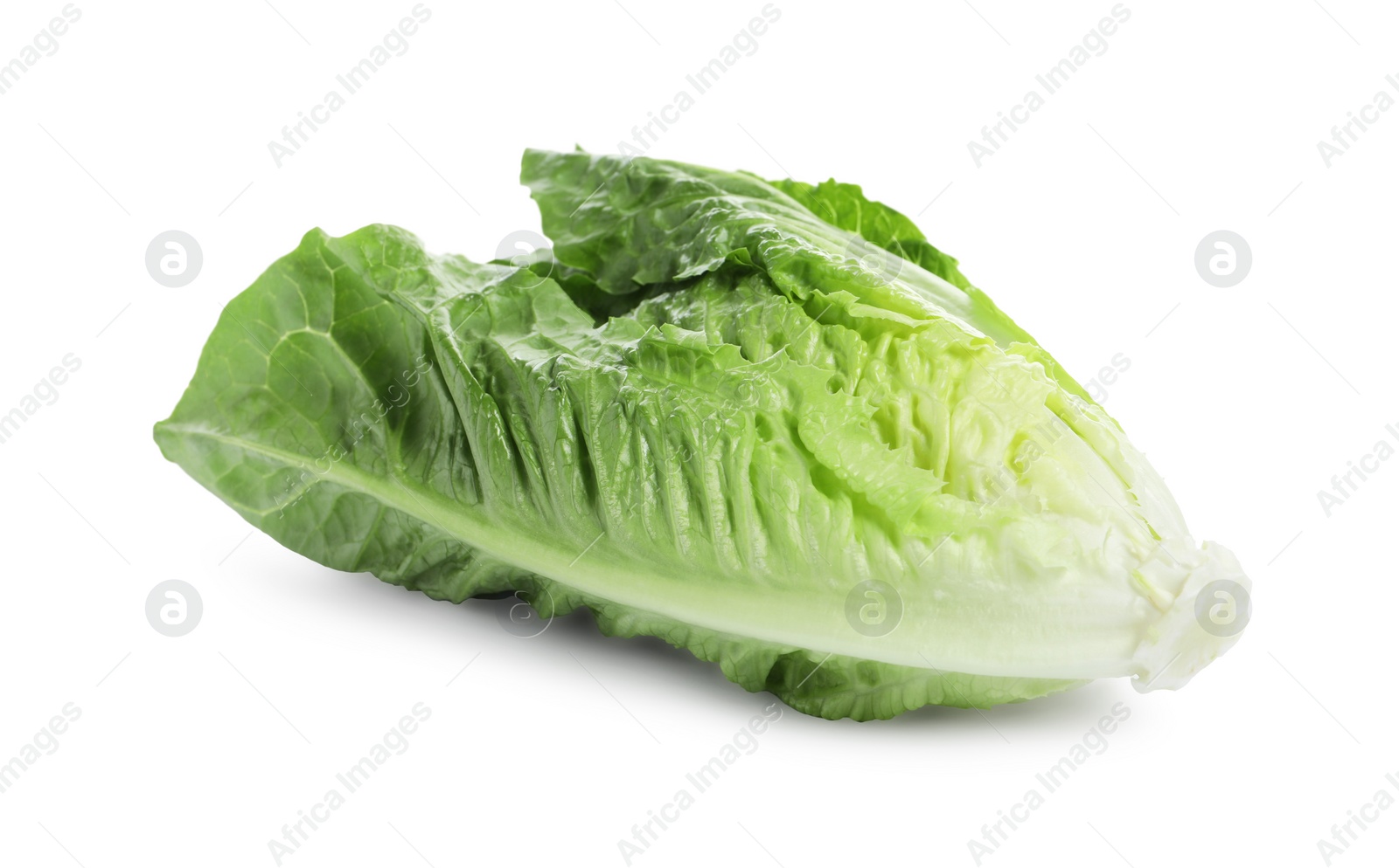 Photo of Fresh green romaine lettuce isolated on white