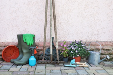 Photo of Potted flowers and gardening tools near wall on floor, outdoors