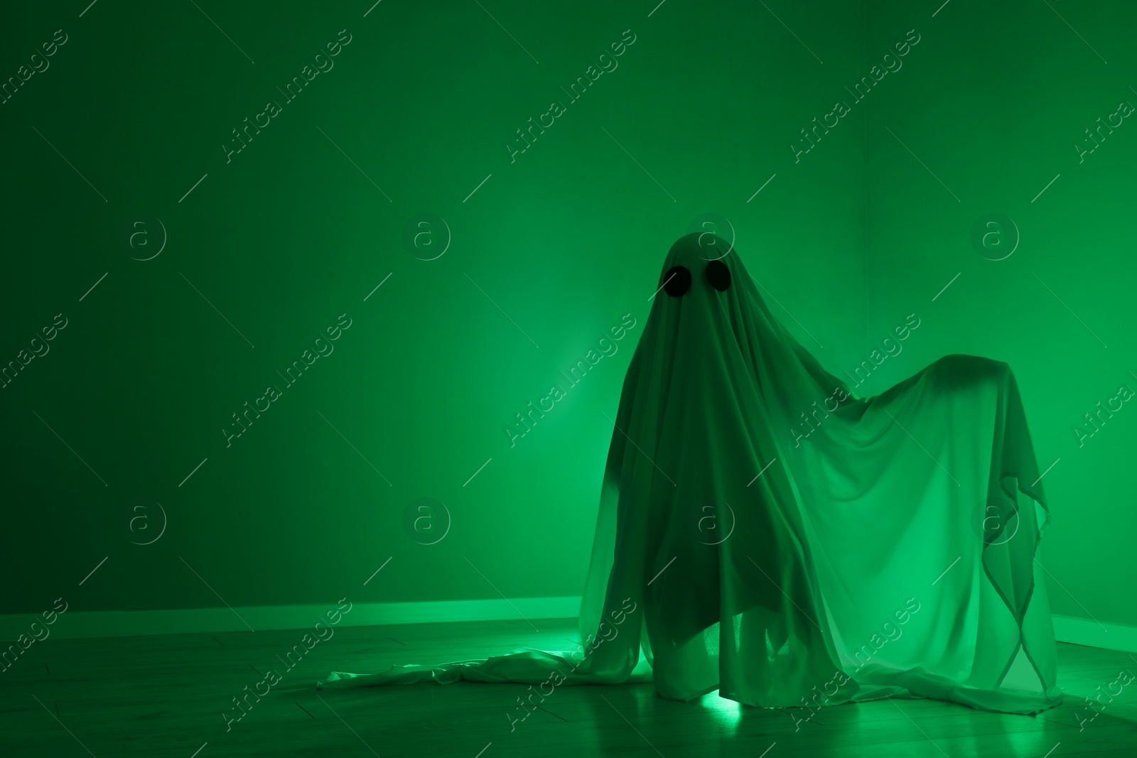 Photo of Creepy ghost. Woman covered with sheet in green light, space for text