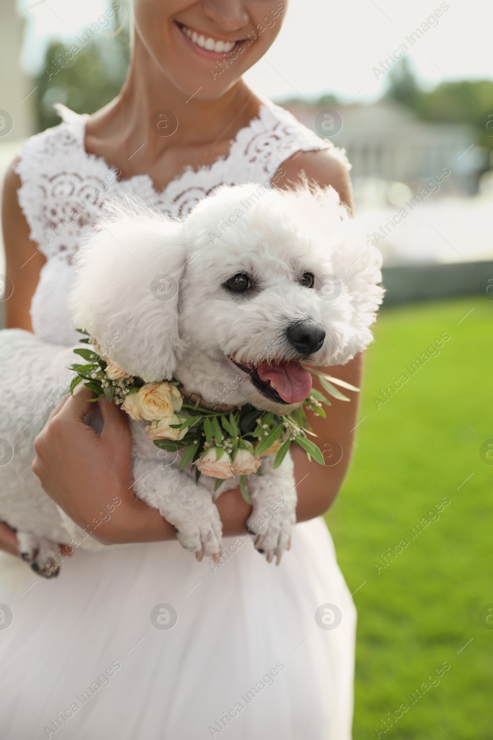 Photo of Bride and adorable Bichon wearing wreath made of beautiful flowers outdoors, closeup