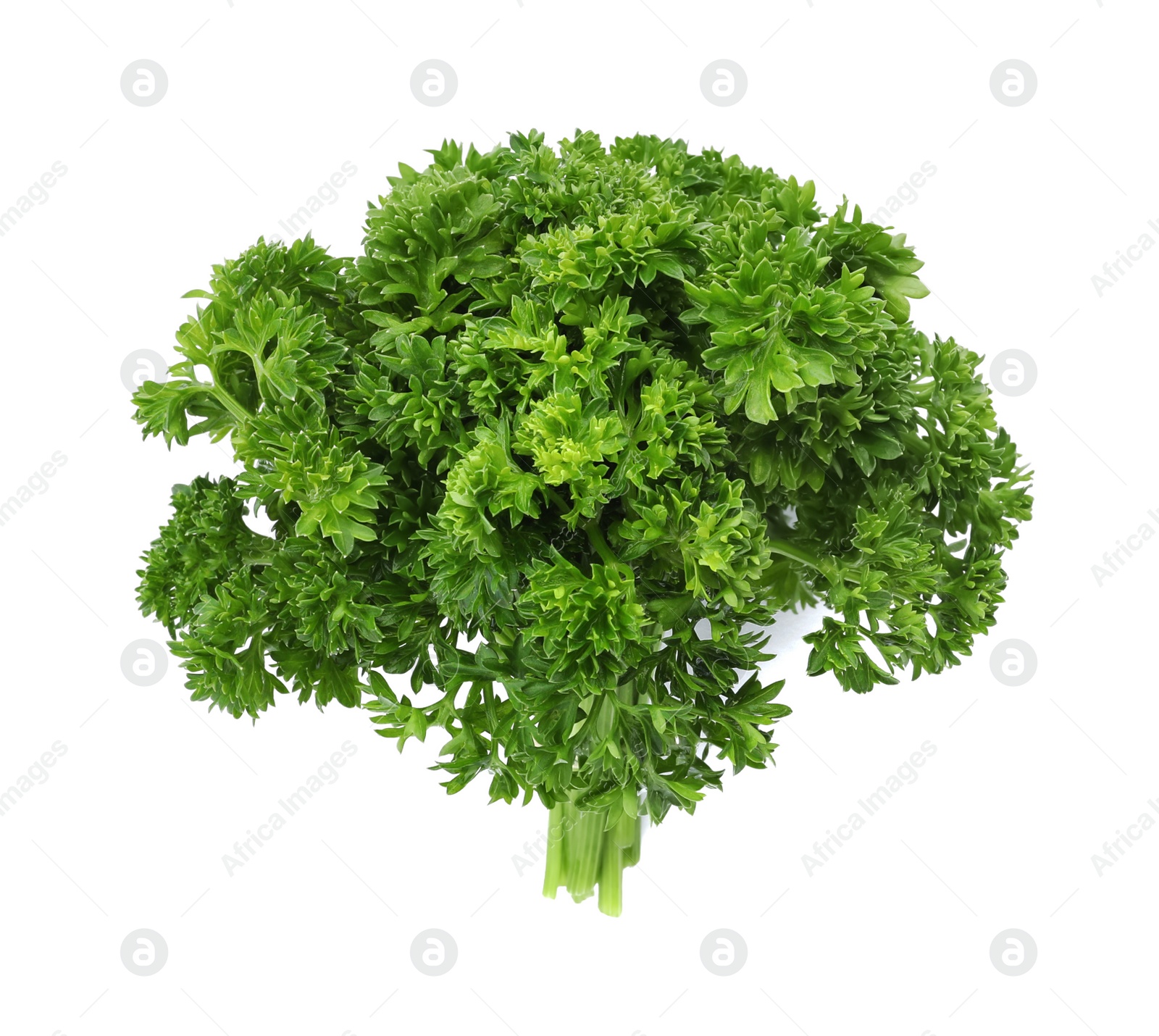 Photo of Fresh green parsley on white background, top view
