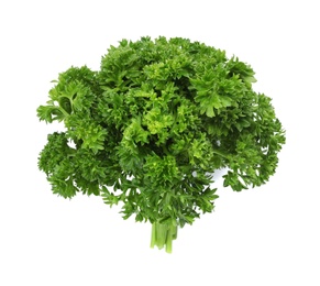 Photo of Fresh green parsley on white background, top view