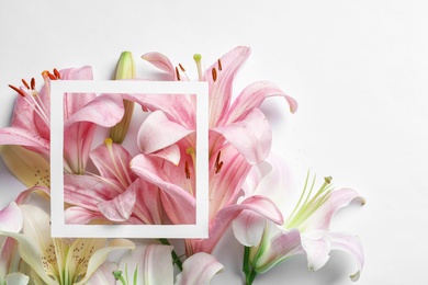 Composition with beautiful blooming lily flowers and frame on white background